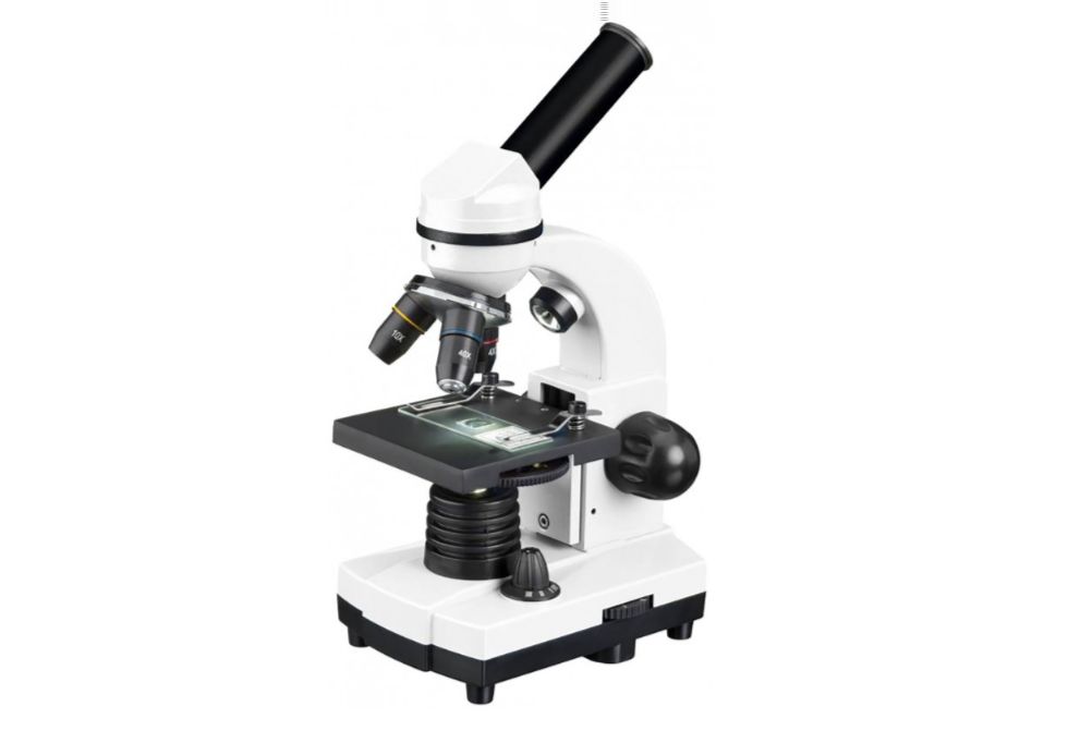 Microscopes optiques classiques